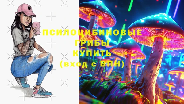 ГАЛЛЮЦИНОГЕННЫЕ ГРИБЫ Алексин