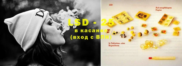 ГАЛЛЮЦИНОГЕННЫЕ ГРИБЫ Алексин