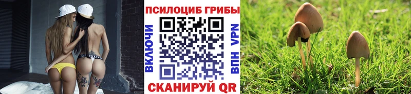 Галлюциногенные грибы MAGIC MUSHROOMS Чёрмоз